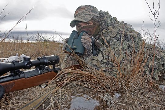 Aggressive trapping and hunting can keep predator populations in check.